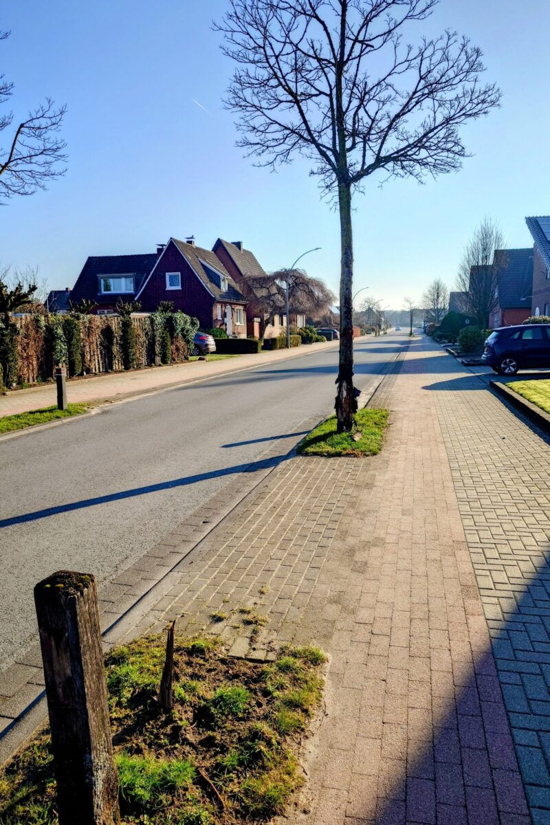 besonders alt werden viele Bäume an den Querungsstellen nicht...