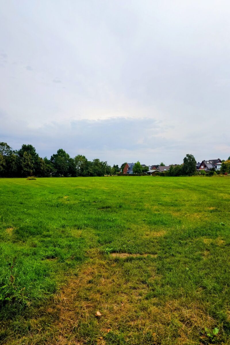 Schultenhook_wo jetzt noch grüne Wiese ist, soll in naher Zukunft ein neues Baugebiet entstehen