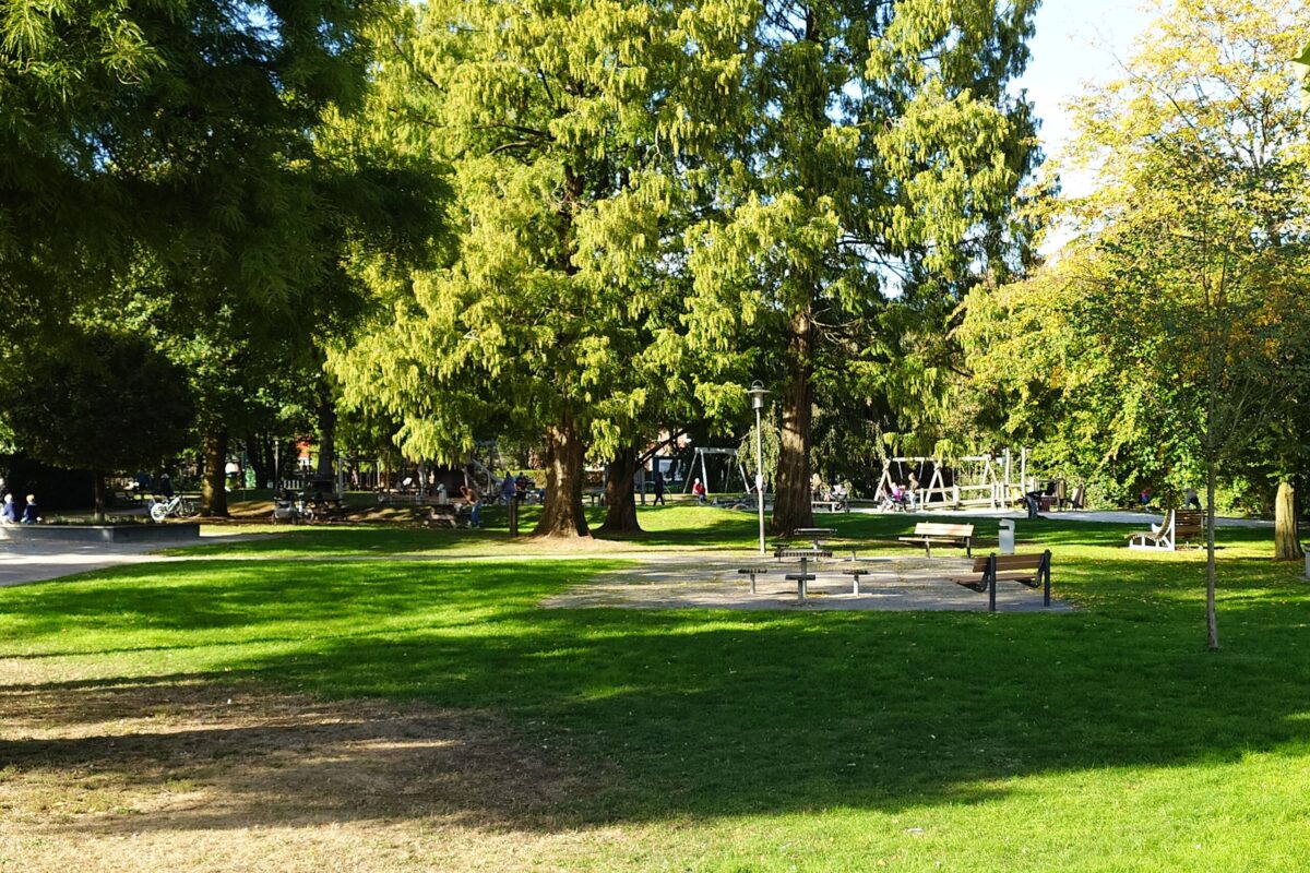 Stadtpark aus Sicht vom Prozessionsweg