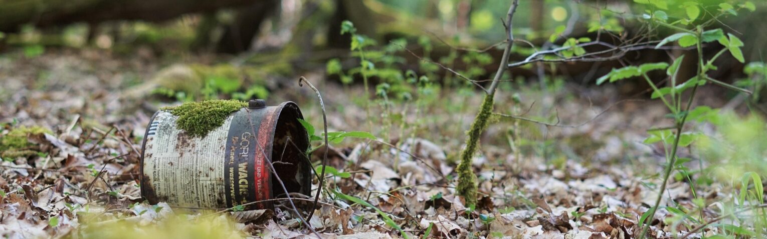 Dose im Wald